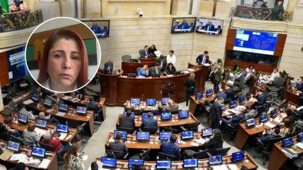 “Ante todo, defender los procesos constitucionales”: Defensoría sobre el decreto de consulta popular