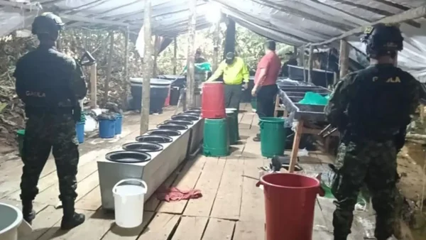 Desmantelan laboratorio del Clan del Golfo que producía media tonelada de cocaína al mes en Santander Desmantelan laboratorio del Clan del Golfo que producía media tonelada de cocaína al mes en Santander