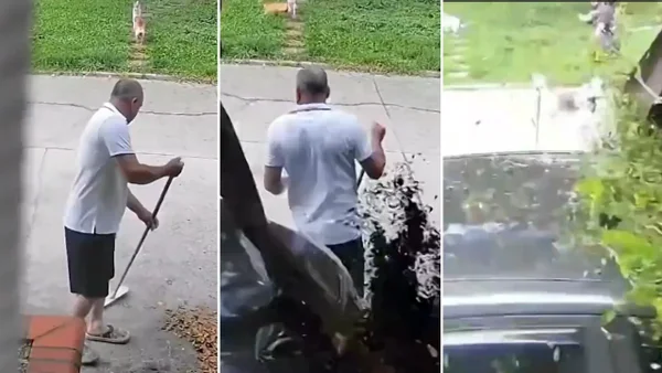 Adulto mayor se salvó de milagro: carro casi lo arrolla en La Virginia, Risaralda Adulto mayor se salvó de milagro: carro casi lo arrolla en La Virginia, Risaralda