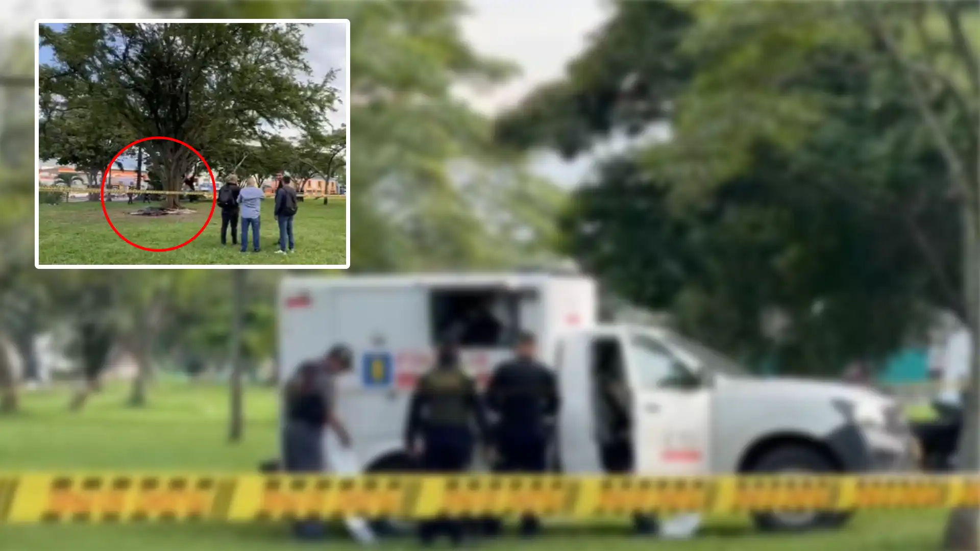 Hallan un cuerpo amarrado y calcinado debajo de un árbol en Cali, Valle