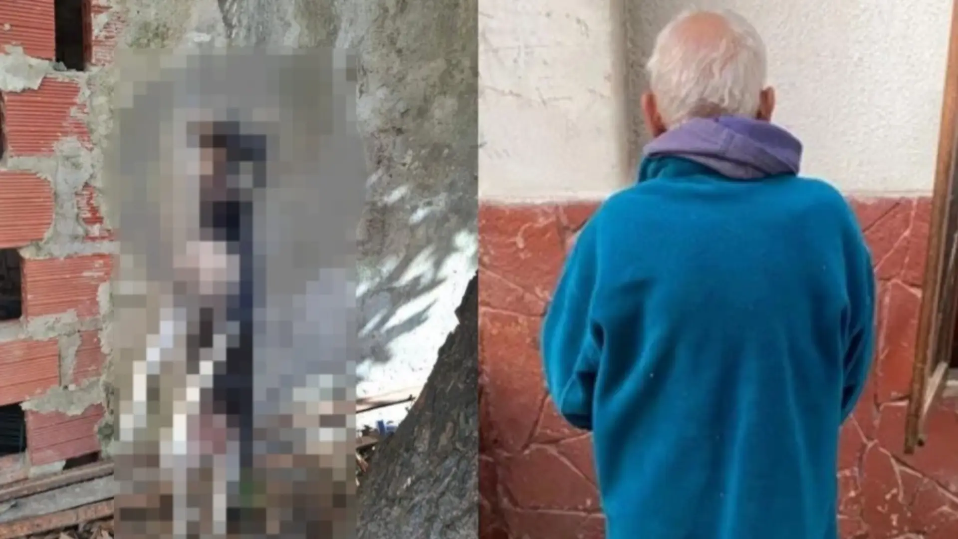 Hombre ahorcó a perrita en Cúcuta Hombre ahorcó a perrita en Cúcuta