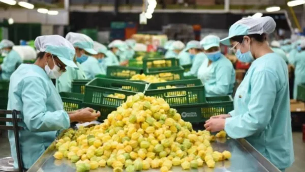 Lanzan plan estratégico en Bogotá para llevar mipymes a mercados internacionales, ¿En qué consiste? Lanzan plan estratégico en Bogotá para llevar mipymes a mercados internacionales, ¿En qué consiste?