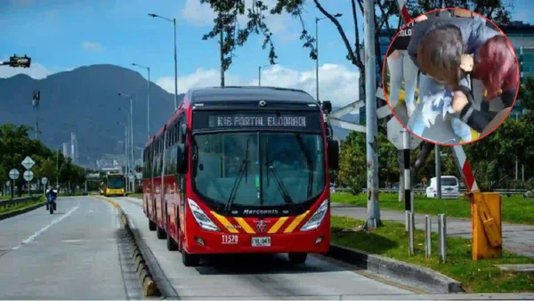 Pelea de dos mujeres por un asiento en TransMilenio generó ola de indignación en redes: video