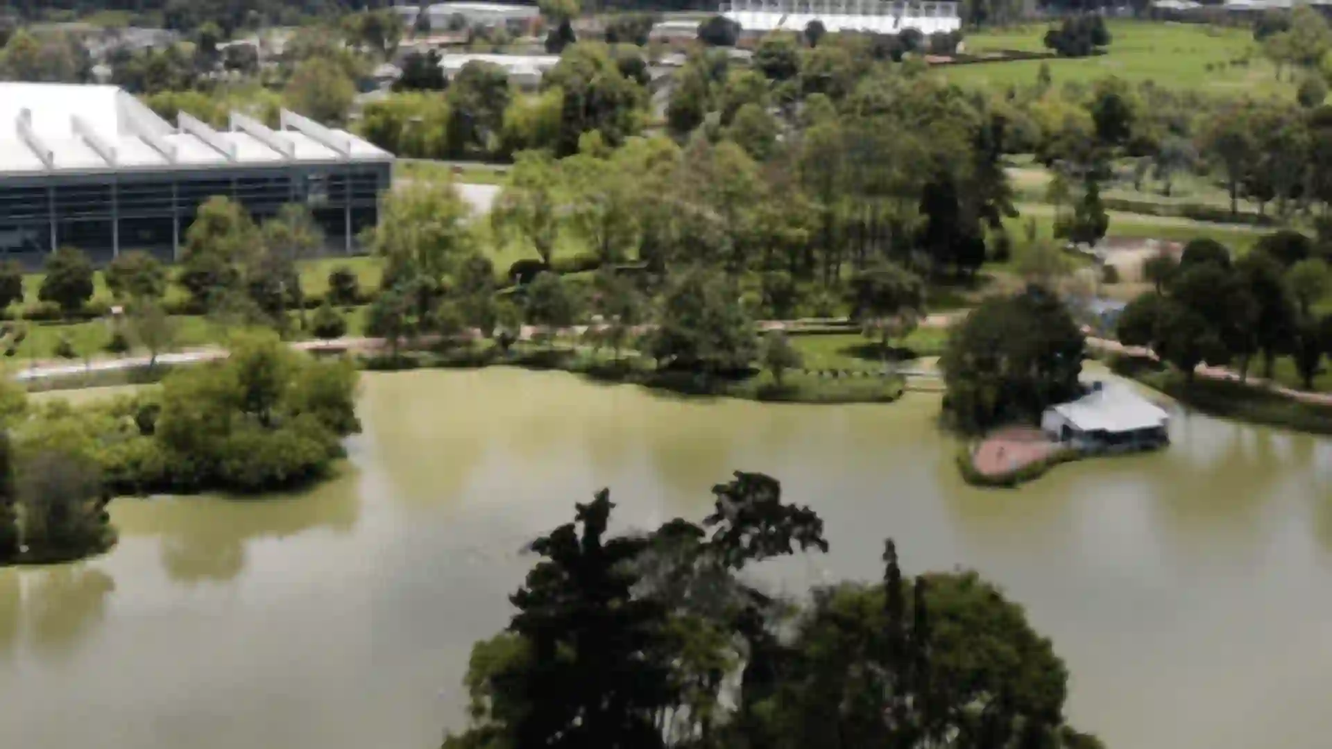 Cómo hacer asados en parque Florida y Los Novios en Bogotá