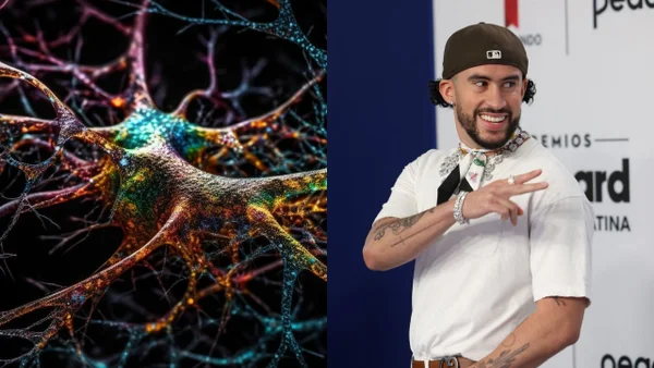 Música y ciencia: estudio relaciona las canciones de Bad Bunny con química cerebral