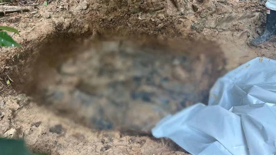 Fosa común con víctimas de las disidencias en Guaviare.