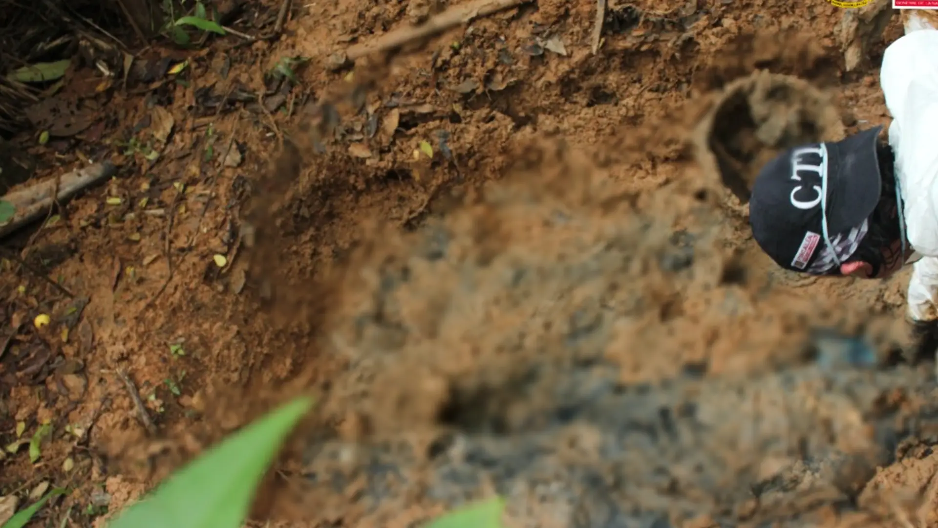 Fosa común con víctimas de las disidencias en Guaviare.