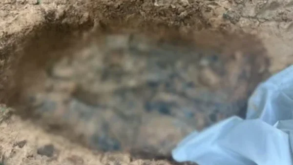 “Los amarraron, les dispararon por la espalda y los remataron”: fiscal encargado de la masacre en Guaviare “Los amarraron, les dispararon por la espalda y los remataron”: fiscal encargado de la masacre en Guaviare