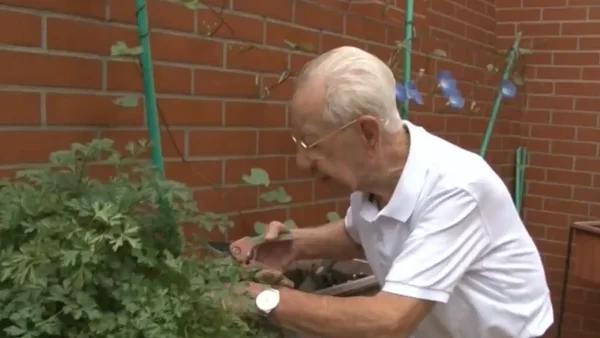 La historia del abuelito de 103 años que sigue cultivando verduras en Medellín