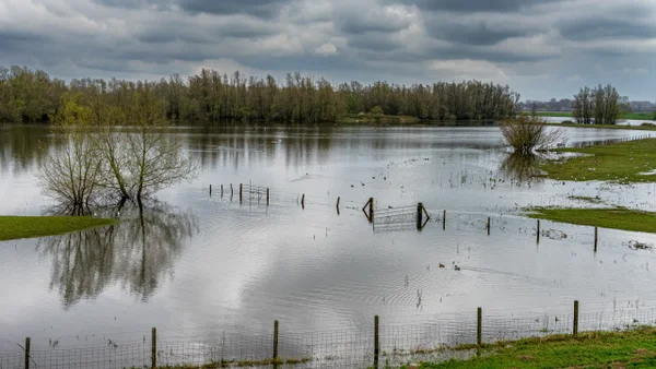 Desaparecieron más de 20 niñas en un campamento en Texas tras fuertes inundaciones: esto se sabe