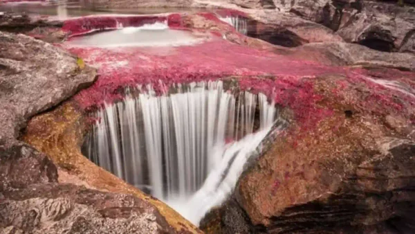 Los 5 destinos imperdibles del Meta que lo conectarán con la naturaleza pura