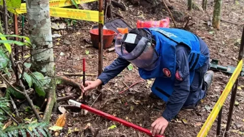 Ejército destruye 20 artefactos explosivos en Mesetas y Mapiripán, Meta