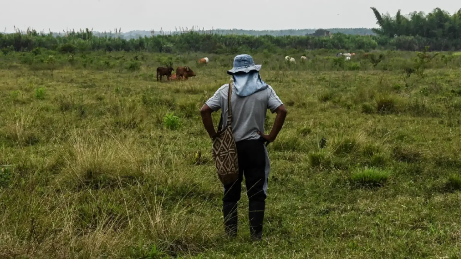 Contraloría detectó millonarias irregularidades en la Unidad de Restitución de Tierras Contraloría detectó millonarias irregularidades en la Unidad de Restitución de Tierras