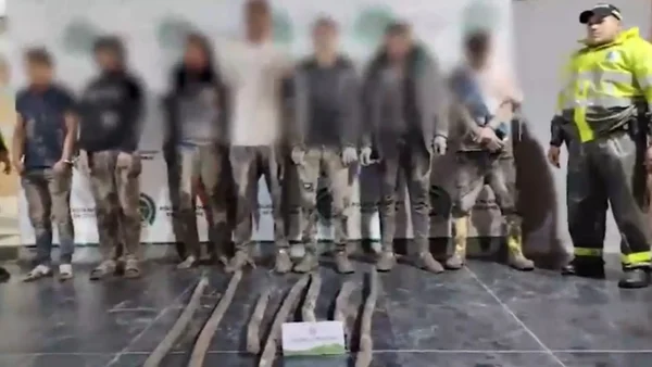 VIDEO | En una alcantarilla: así descubrieron a banda que saqueaba la red de comunicaciones de Transmilenio