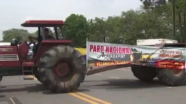 Gremio de arroceros inició paro nacional por crisis de precios Gremio de arroceros inició paro nacional por crisis de precios