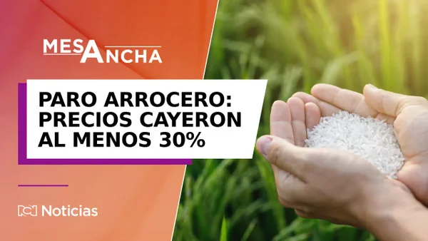 Paro arrocero: productores exigen medidas ante caída de precios e incumplimiento del gobierno