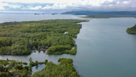 Pacífico colombiano.
