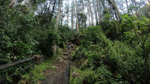 Todo lo que debe saber sobre los cierres en senderos de Cerros Orientales este fin de semana