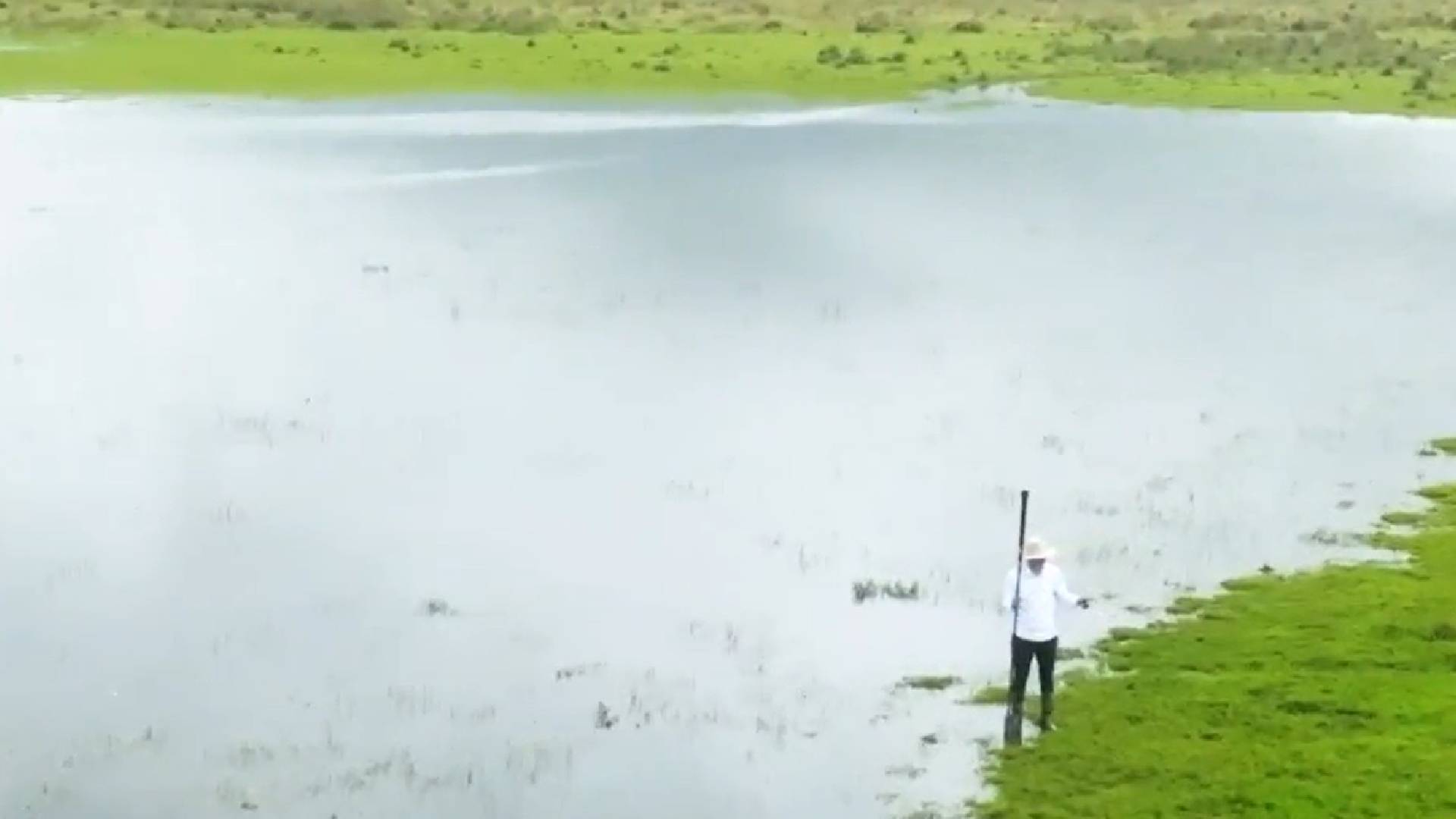 Safari en Casanare experiencia de conservación