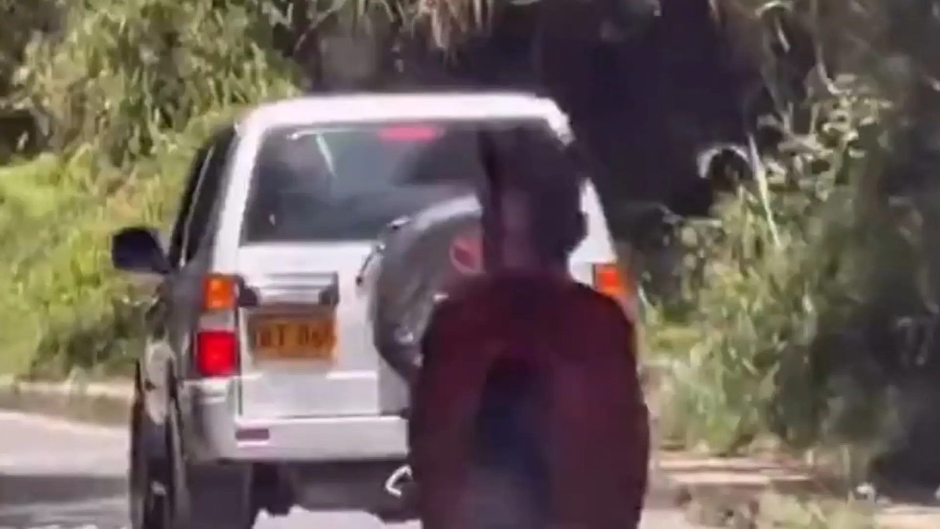 Maltrato animal a caballo