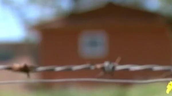 Nueva masacre: encuentran cuatro cuerpos en Yondó, Antioquia