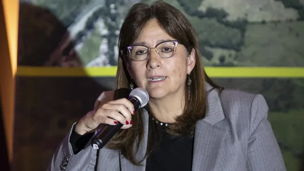 “Legalizar lo ilícito no es una propuesta seria”: exministra Ángela M. Buitrago sobre el proyecto de paz total