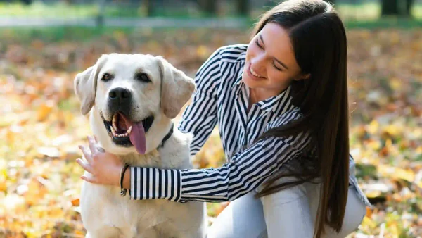 ¿Los perros consideran a una persona como su favorita? La ciencia detrás de su apego único