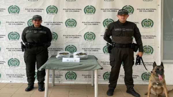 Gracias a un canino de la Policía descubrieron más de 1.200 dosis de estupefacientes en Cartagena