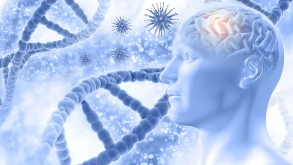 Científicos identifican un nuevo canal sensorial entre bacterias y neuronas