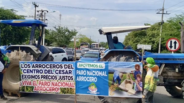 ¿En qué van las negociaciones entre el Gobierno y los arroceros para levantar el paro?