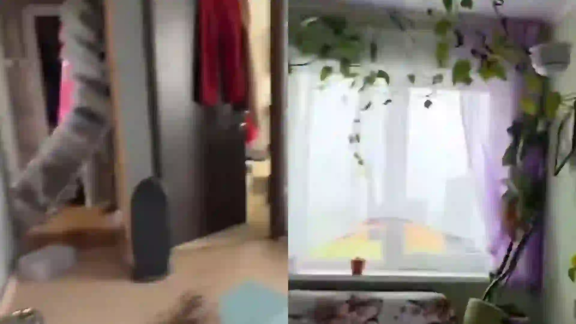 videos-terremoto-peninsula-rusa Videos fuerte terremoto de 8.7 cerca de la península rusa