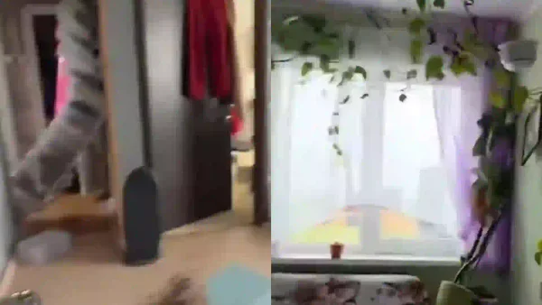 Videos impactantes: así se sintió el fuerte terremoto de 8.7 cerca de la península rusa