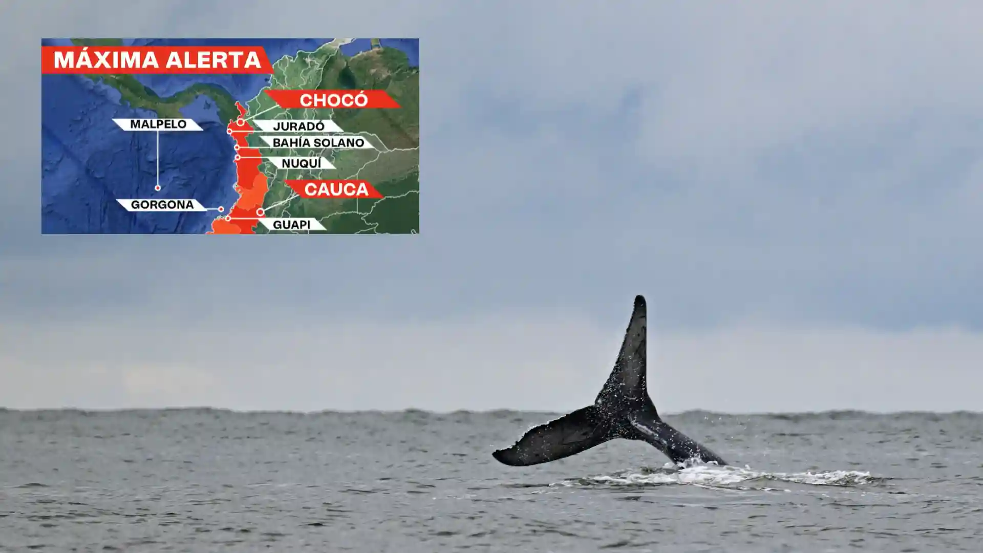 Alerta de tsunami en Colombia pasó de advertencia roja a naranja: ¿Qué significa?