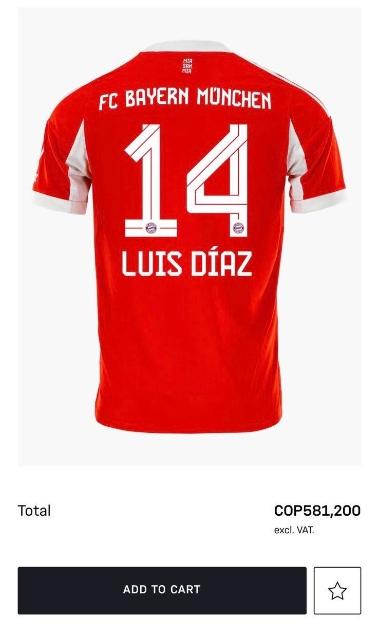 Camiseta
