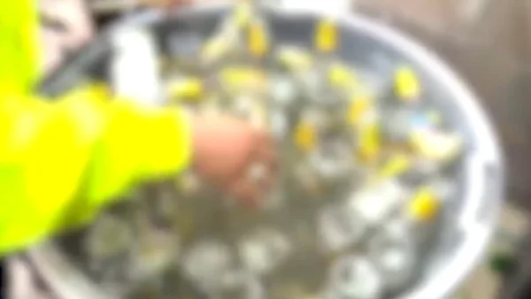 Descubren viviendas desde donde iban a distribuir cerveza adulterada para la Feria de las Flores Descubren viviendas desde donde iban a distribuir cerveza adulterada para la Feria de las Flores