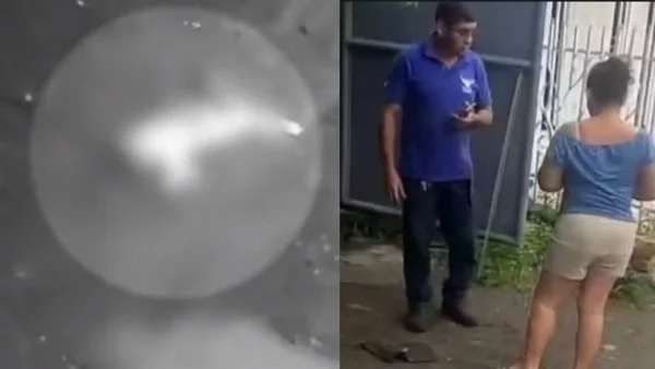 Murió Alana, la gatica golpeada brutalmente con una varilla por un hombre en Montería Murió Alana, la gatica golpeada brutalmente con una varilla por un hombre en Montería