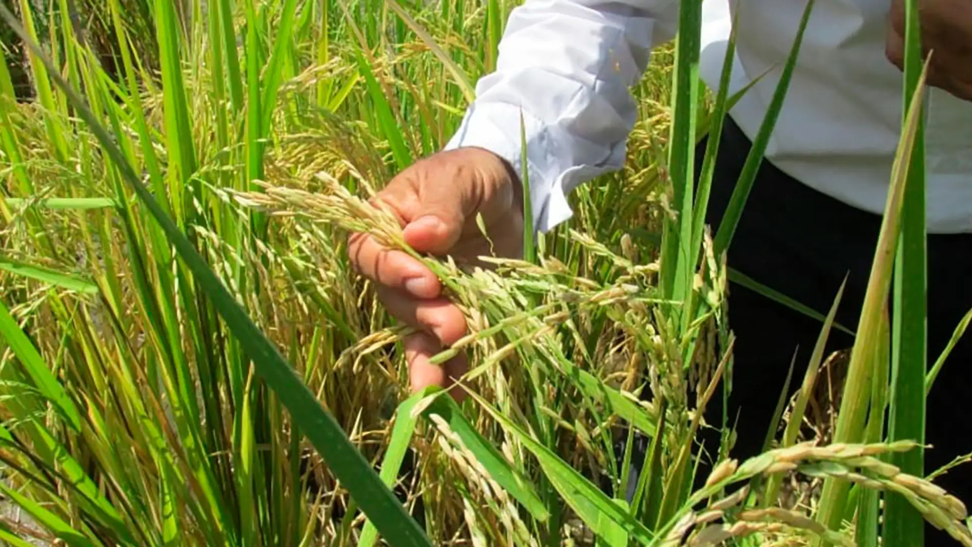 Foto: Unidad Solidaria