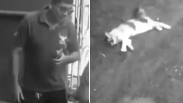 Revelan el rostro del hombre que mató a la gatica Alana con una varilla en Montería