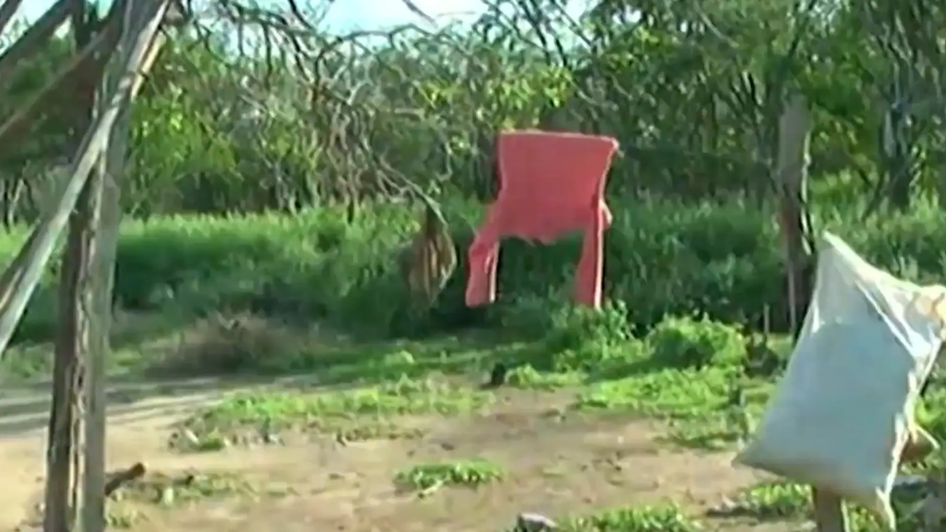 Indígenas denuncian que la Reforma a la Salud destruye su sistema propio y vulnera sus derechos