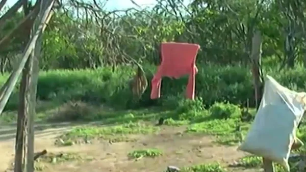 Indígenas denuncian que la Reforma a la Salud destruye su sistema propio y vulnera sus derechos