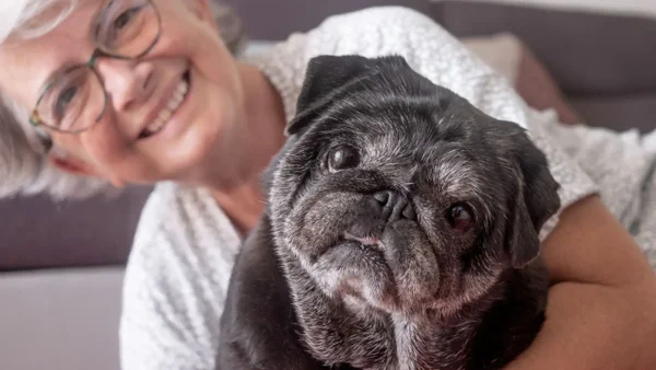 Aumenta la esperanza de vida en perros y gatos: ¿cómo se relacionan los cuidados? Aumenta la esperanza de vida en perros y gatos: ¿cómo se relacionan los cuidados?