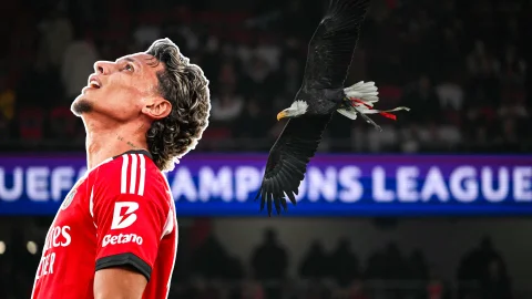 Richard Ríos Benfica Champions