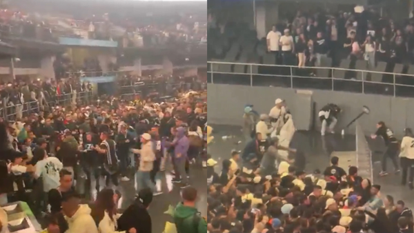 Se habrían robado una guitarra de Damas Gratis: captaron a un asistente con el instrumento en el Movistar