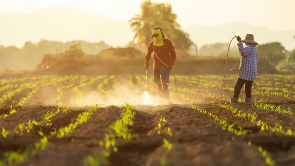 Colombia envejece: el campo y el transporte, al borde de una crisis laboral Colombia envejece: el campo y el transporte, al borde de una crisis laboral