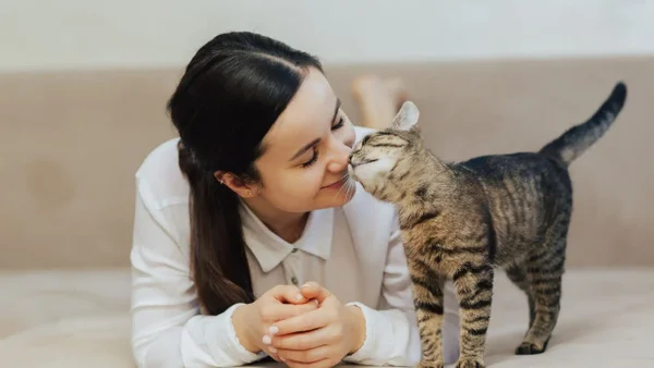 Día mundial del gato: conoce algunos datos curiosos sobre estos animales Día mundial del gato: conoce algunos datos curiosos sobre estos animales