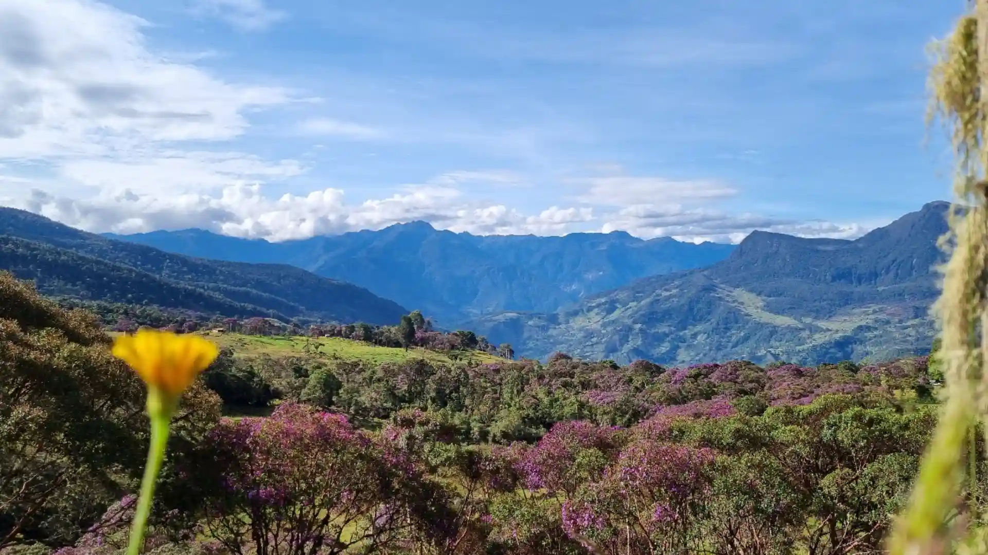 ¿Dónde y cuándo será la Ruta del Cóndor 2025? La única travesía ciclomontañista entre bosques