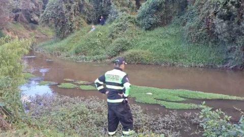 Niña con síndrome de Down perdida en Cajicá