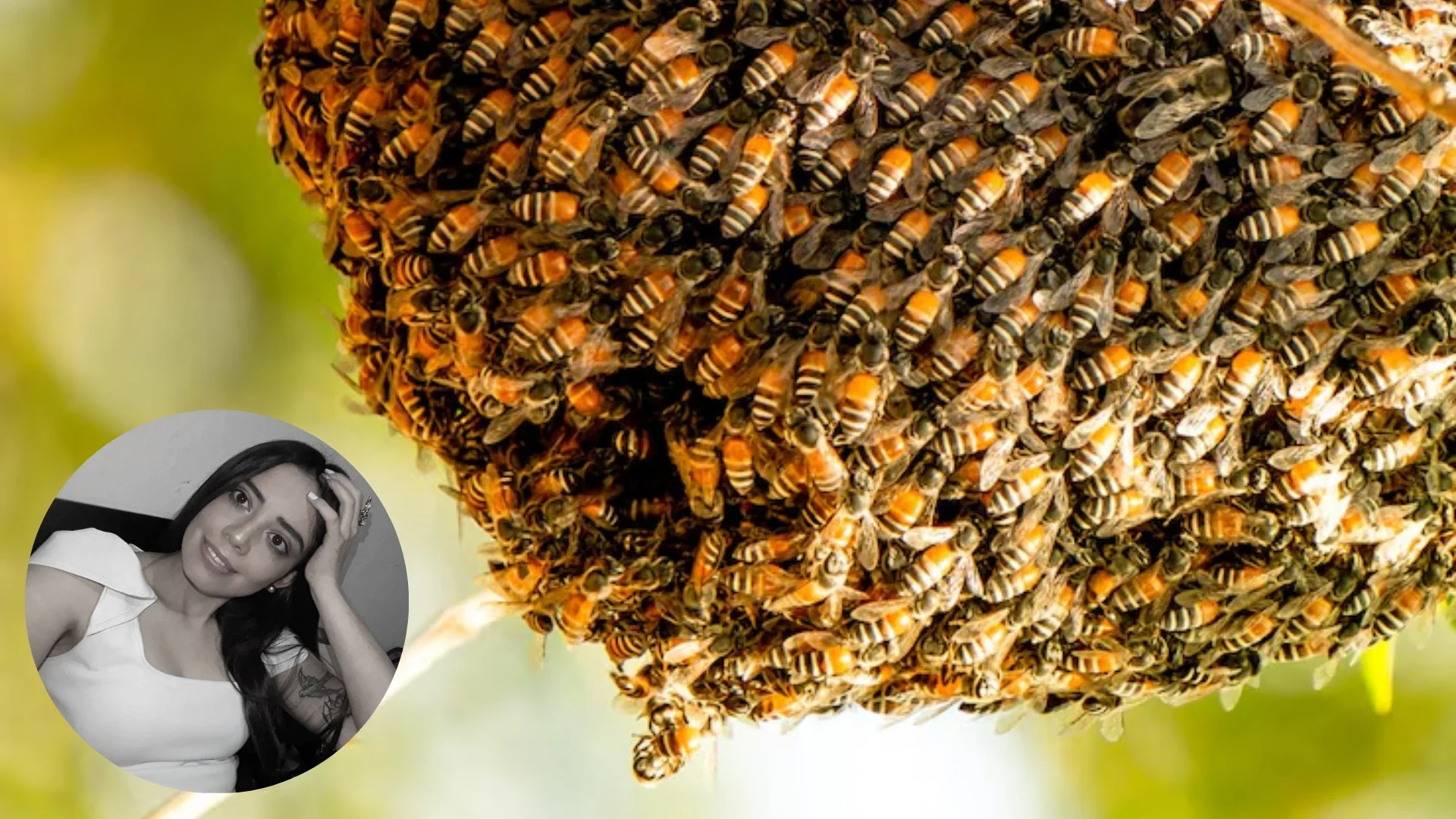 Foto: montaje realizado con imágenes tomadas de Freepik y Facebook