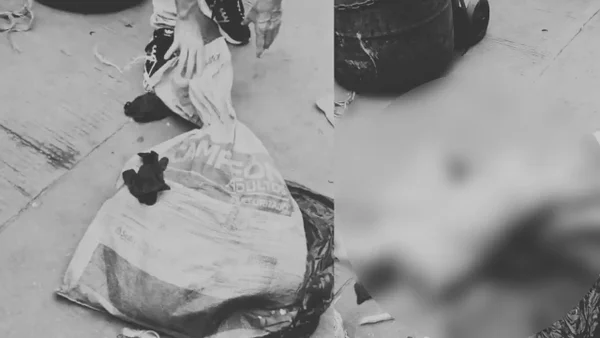 Perrita es encontrada muerta en un costal: habría sido abusada sexualmente Perrita es encontrada muerta en un costal: habría sido abusada sexualmente