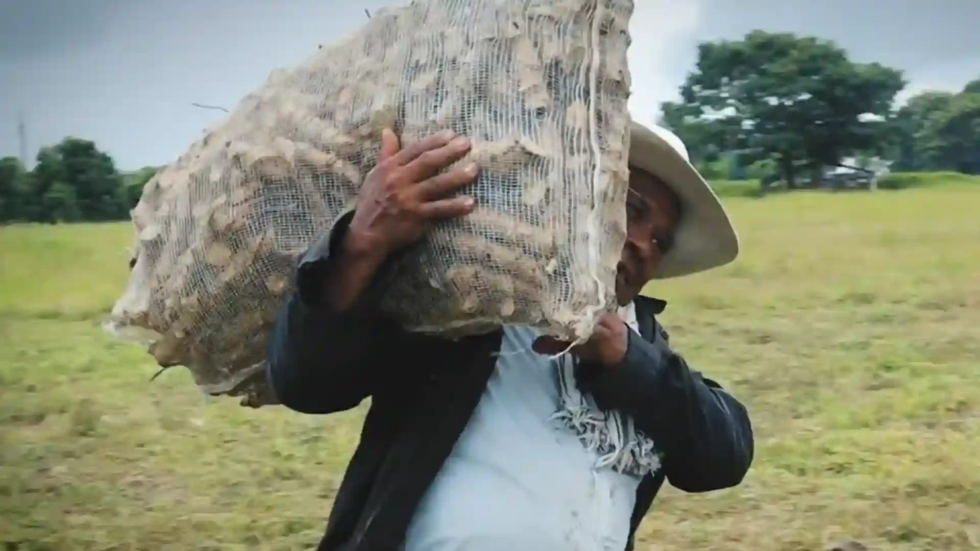Más de 100 familias regresan al campo después de 13 años de desplazamiento